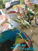 5507C399-6217-4F39-A3FA-093B25AB58EB