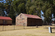 DSC-0019