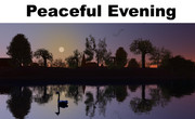 peaceful-evening