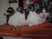 IMG_20221015_164526753_HDR