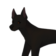 C2FFDEEF-2D8F-4D2A-9FB2-49E4D7F98335