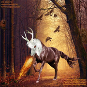 Under-A-Witch-s-Curse-500