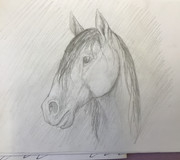 0A2E21FC-0408-42E3-A37F-32FB472D6046