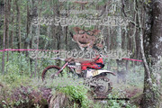 IMG-6458
