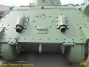 IMG-6304