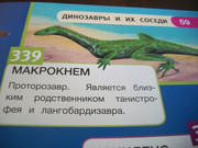 https://i.postimg.cc/ykWFvWmm/100-8121.jpg