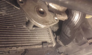 20190426-160239.jpg