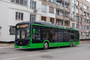 IMG-2461