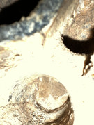 745392D2-C4F6-4751-A9A8-E010CF8F186E