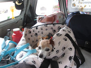 IMG-7958.jpg