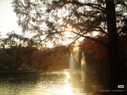 photo 14 2025 12 14 22 29 25