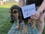 FD583F8E-78CE-4F15-A584-5D4F84ABB39A