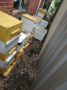 photo_2021-07-28_08-31-35