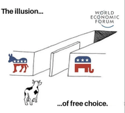 3087dfa03c469d7d158dd290d449d4112839ab53e206593de1df165183db2ada