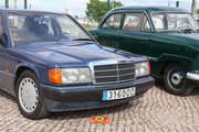 IMG-6526