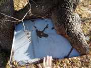 IMG_20250304_125806_899