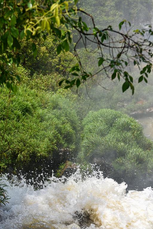 В джазе только девушки или аргентинско-бразильский калейдоскоп В джазе только девушки или аргентинско-бразильский калейдоскоп