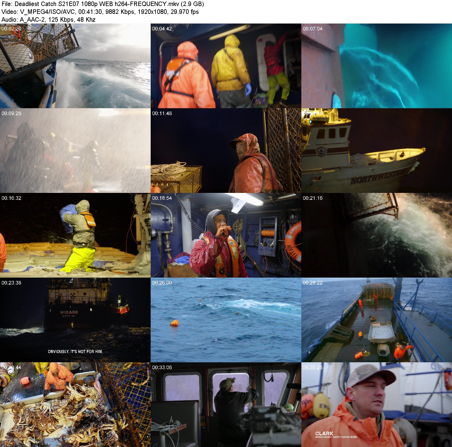 [Image: 4pk3lcs7b7lq.jpg]