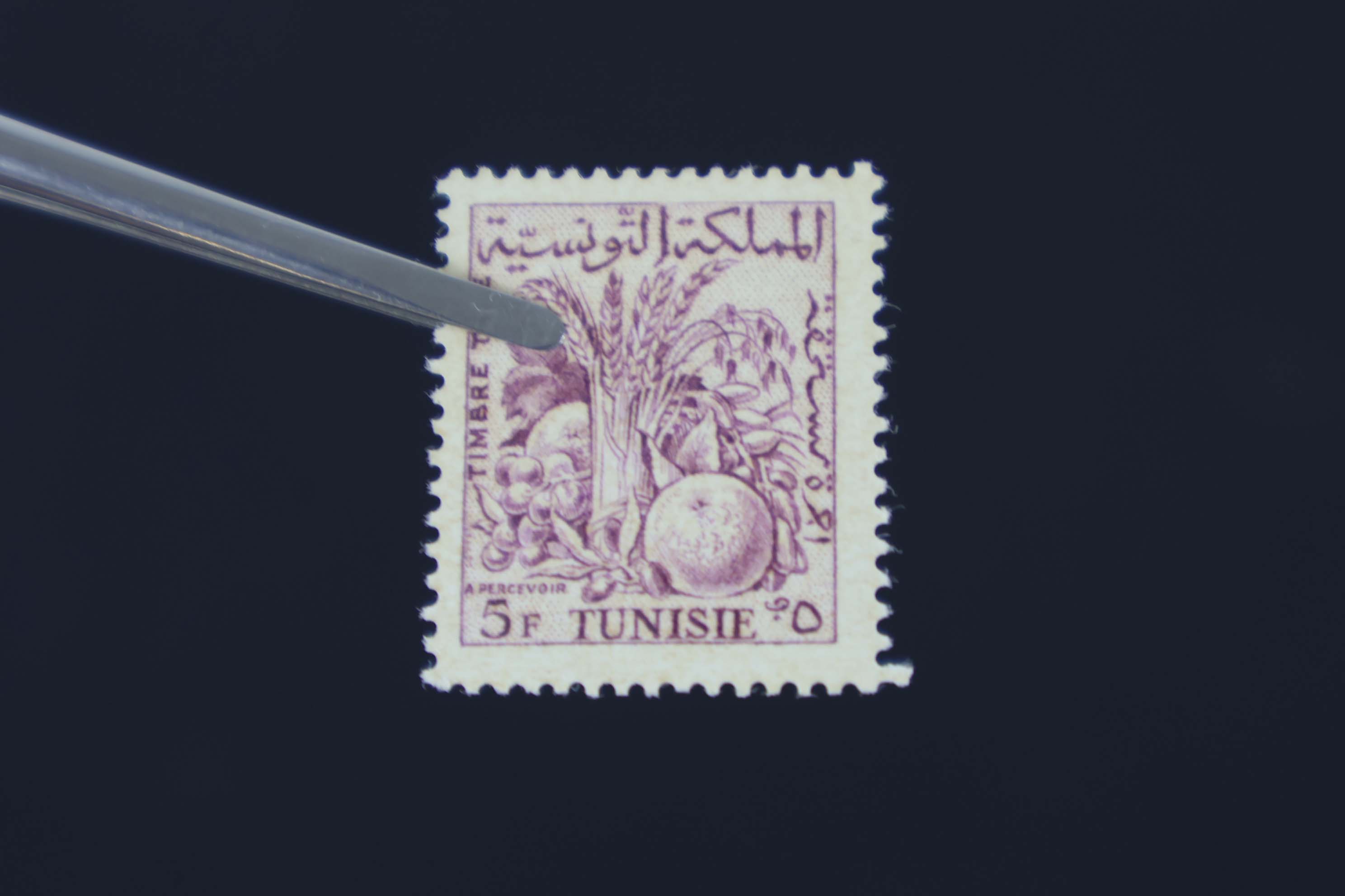 IMG-6425-1-(2)