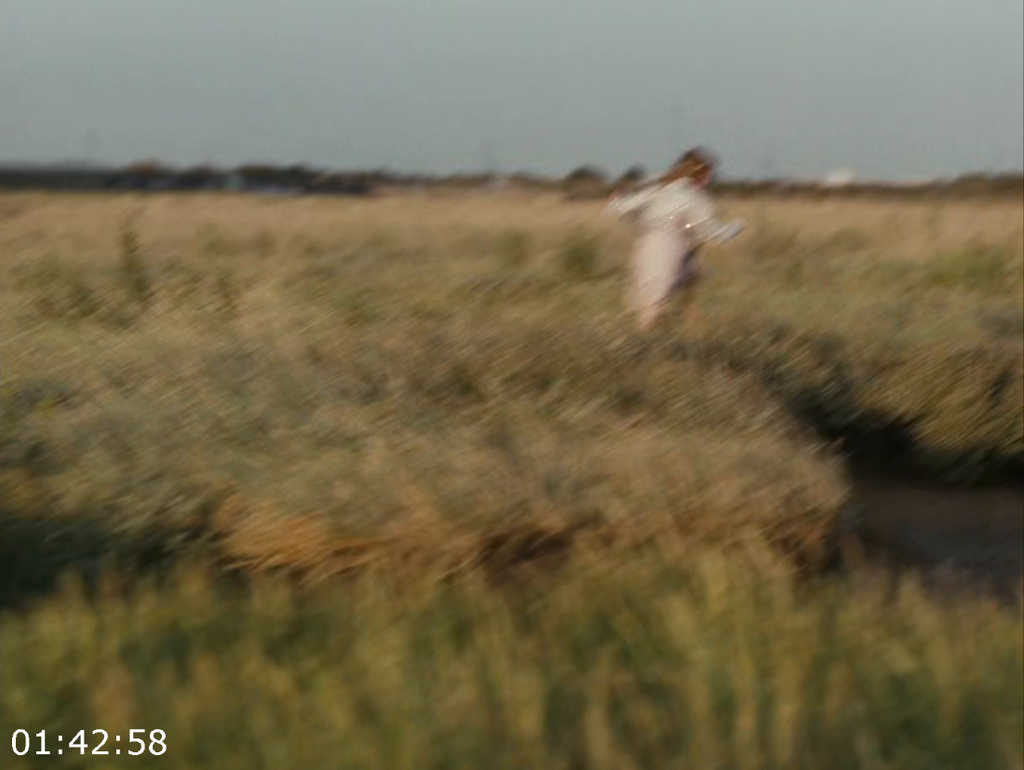 [Image: pg5bq7dgm66r.png]