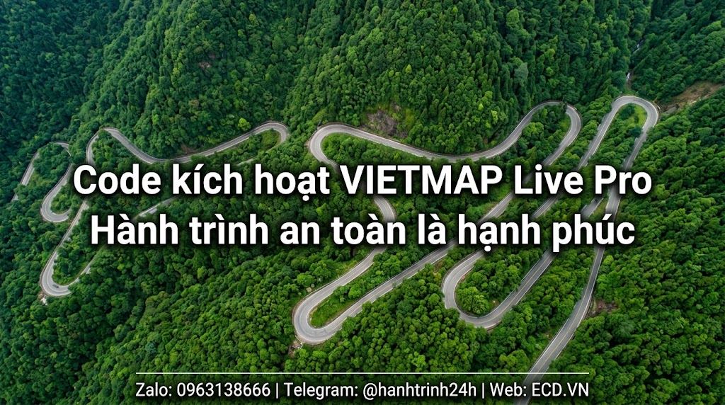 vietmap pro reliable