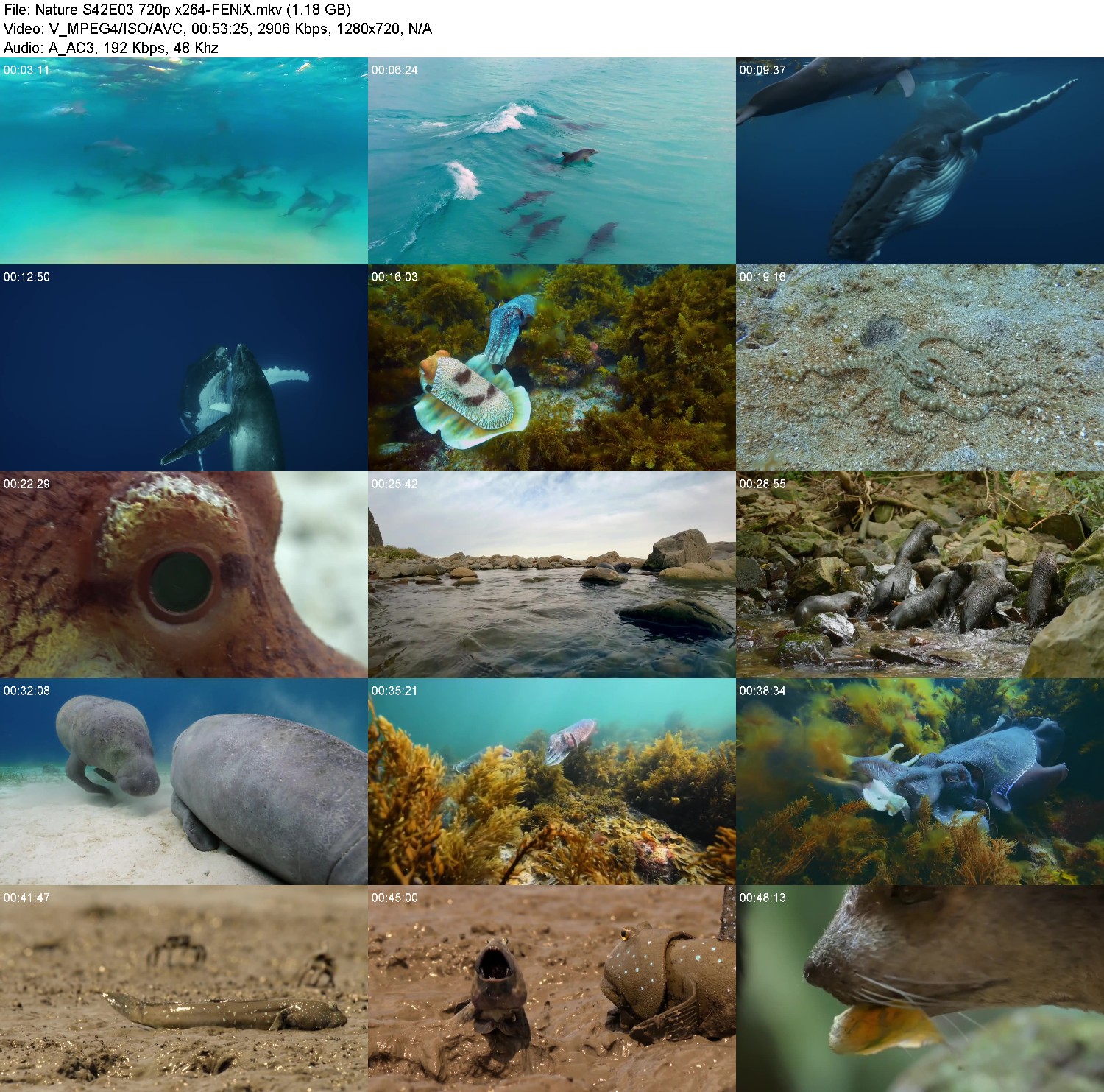 [Image: z6v2z2hag7io.jpg]