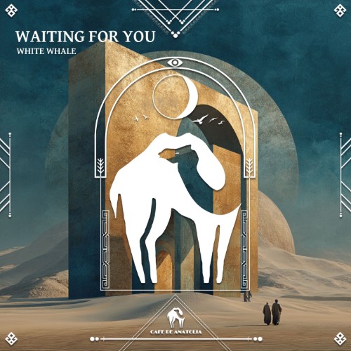 00-white-whale-waiting-for-you-cdarec191