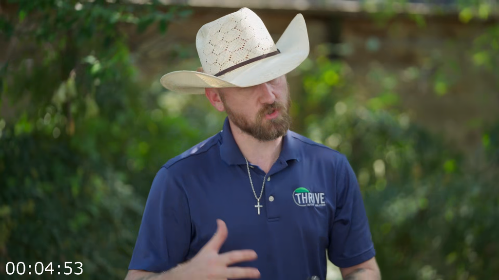 [Image: qk73uwgyet77.png]