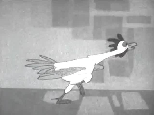 [Image: qur4ff7pib38.jpg]