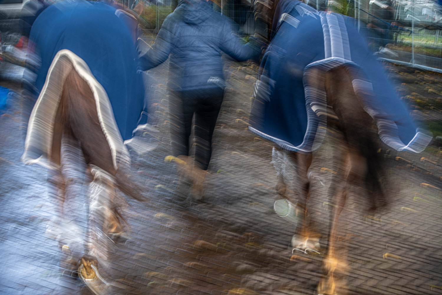 Fotografie