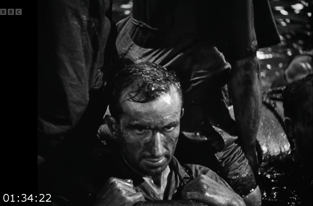 [Image: 2qvb65mtsw-e5.png]