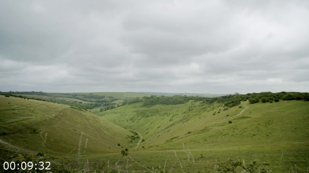 [Image: wsde6449dura.png]