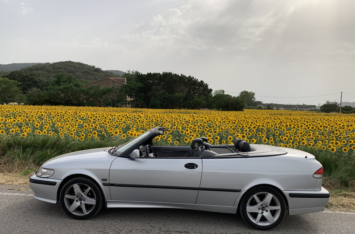 59F4328A-1559-4358-AC1B-79090E8736A7