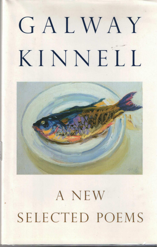 A New Selected Poems