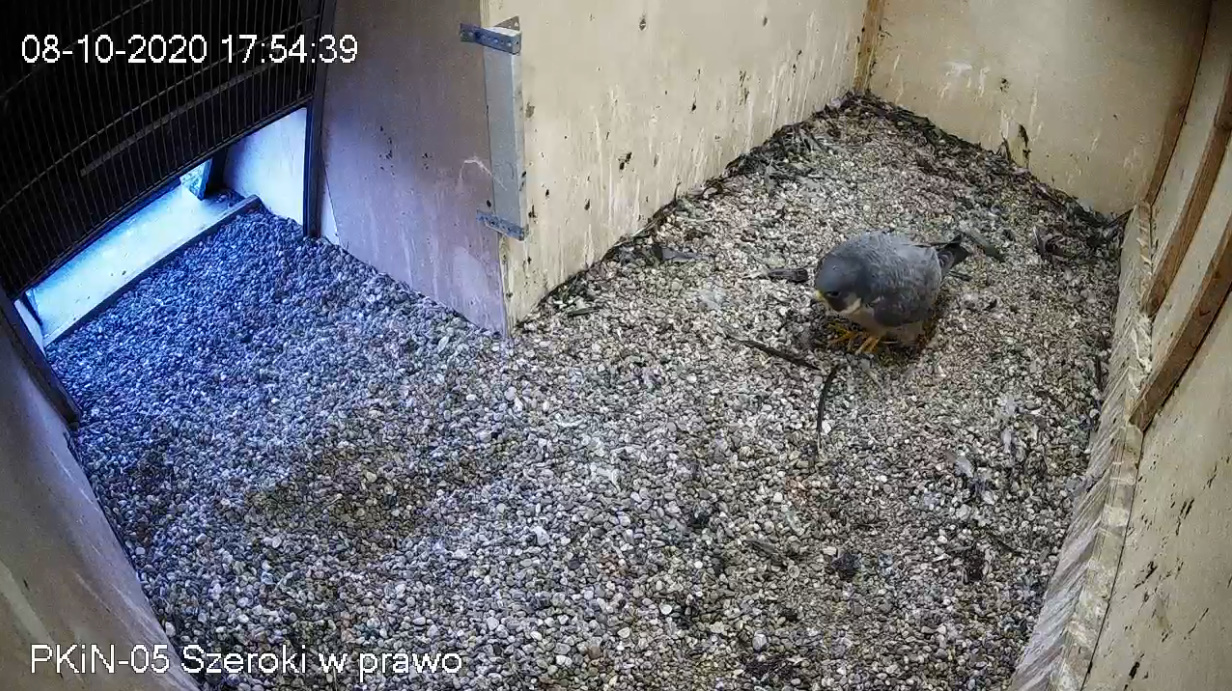 bandicam 2020-10-08 18-54-28-873