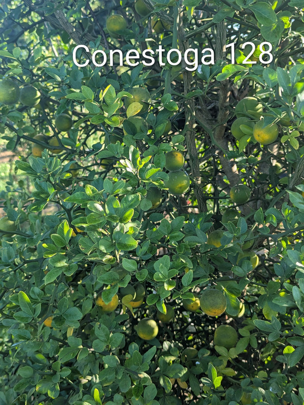 PXL_20250918_123722266~2