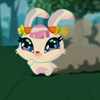 415-Pet-Icon2
