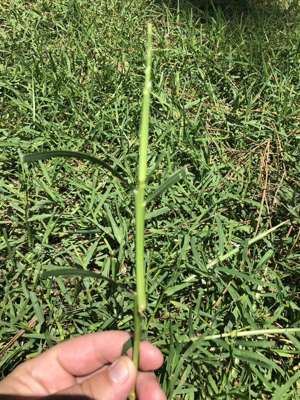 F9A40100-7F90-4D5F-B0E2-43E8D9D5A871