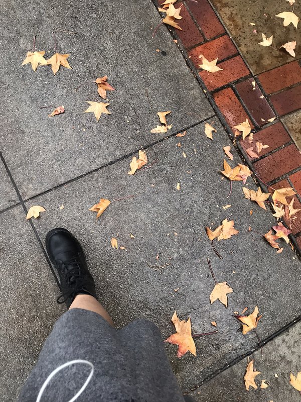 autumn leaves