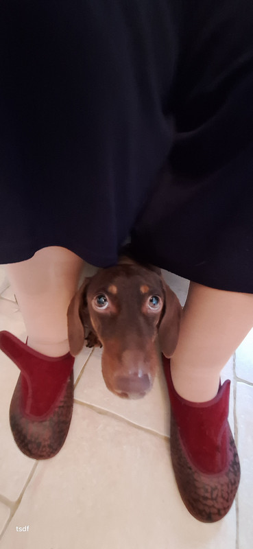 [Image: 20250910-112024.jpg]