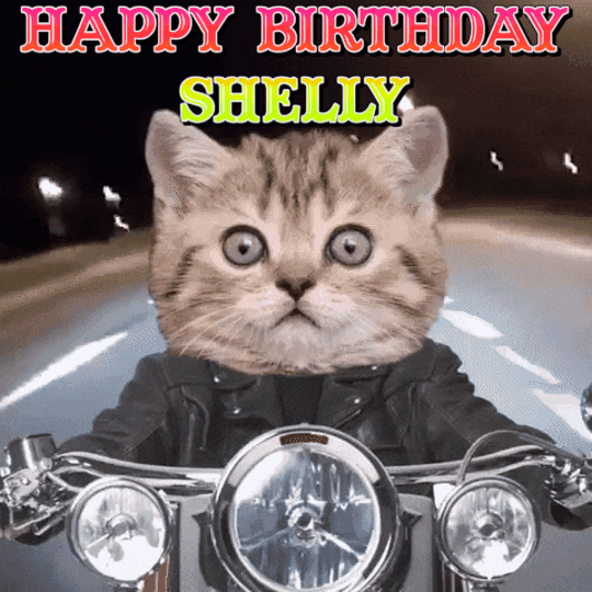 BIRTHDAY_GIF_SHELLY_2