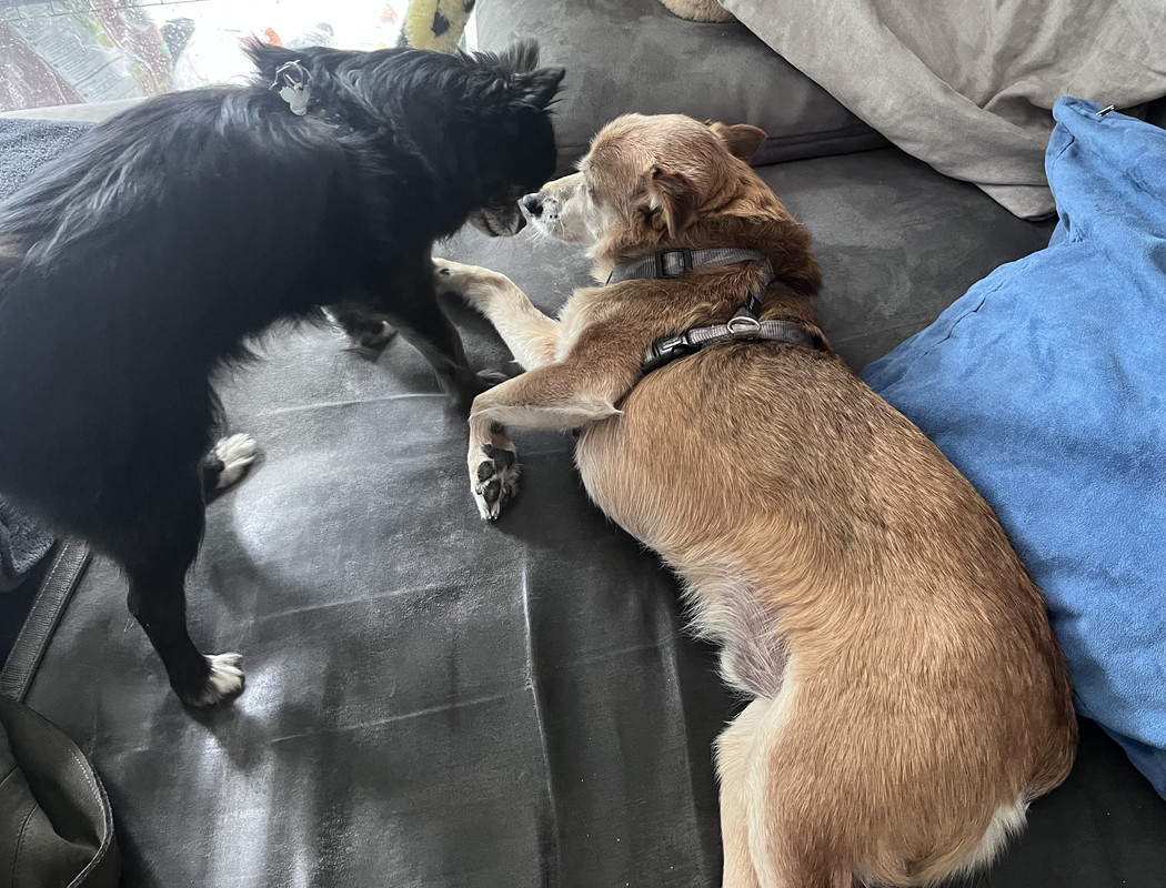 [Image: IMG-8880.jpg]