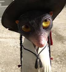Avatar do usuário