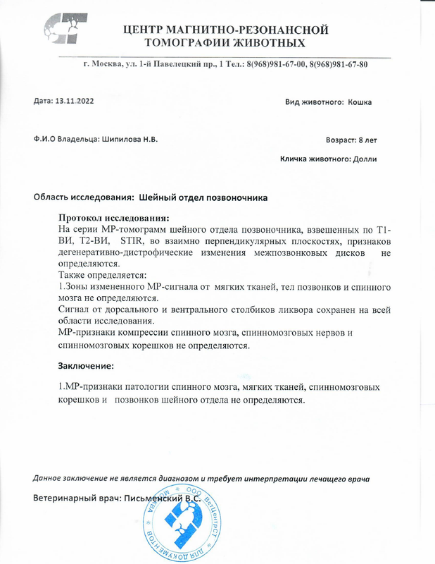к. метис Долли 4.54 кг - ШОП, ГМ скрин - Шипилова Н.В