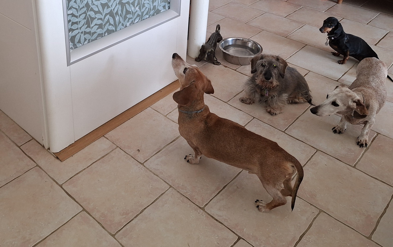 [Image: 20240821-111451.jpg]