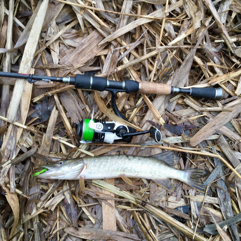 CBD34917-E1DB-4E39-8EC7-77DCCAC48E86