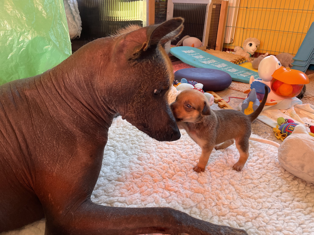 D1F420B5-A55E-4163-A09F-FDBA58A27C1A