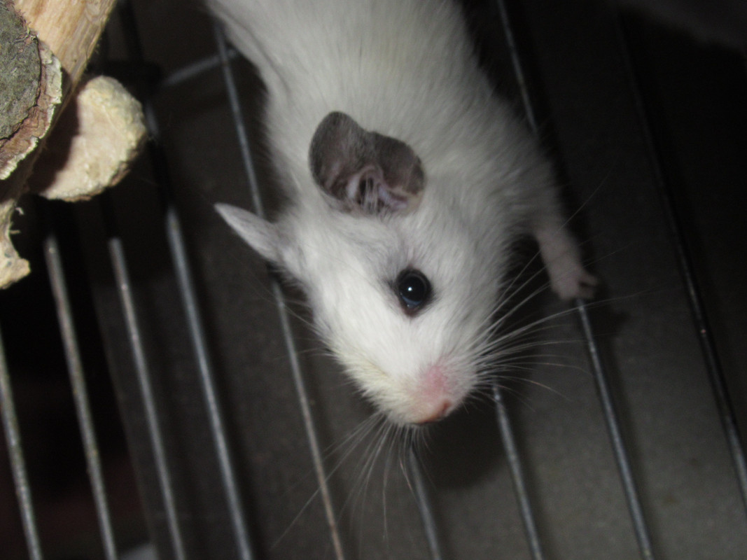 Детки от Светланы (5)