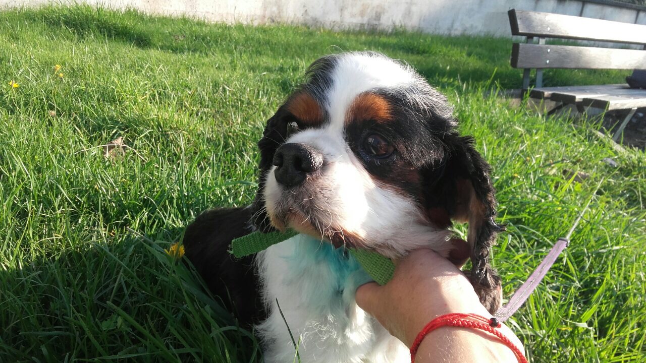 F98EF738-51AD-424E-BAE8-C729D8CF232F