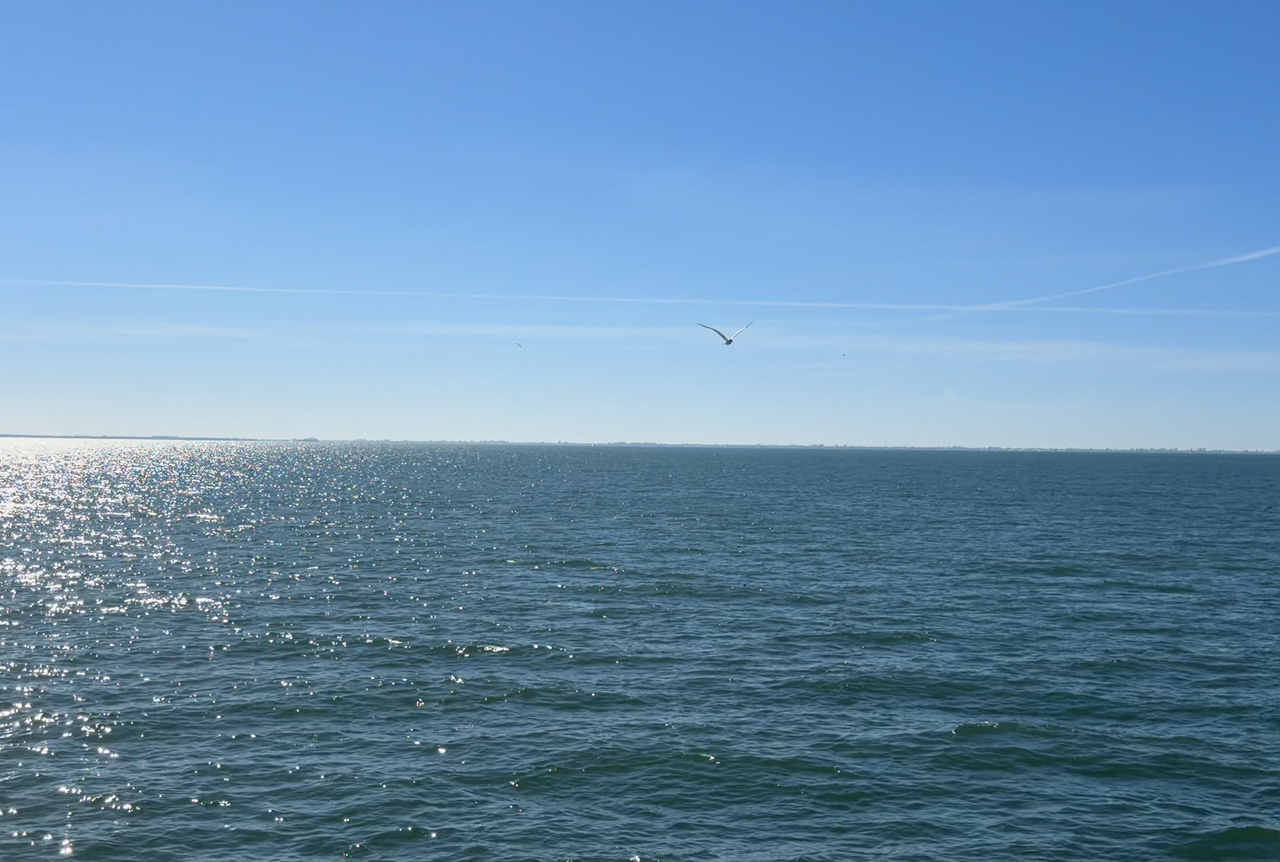 [Image: Skyway-Bridge01.png]